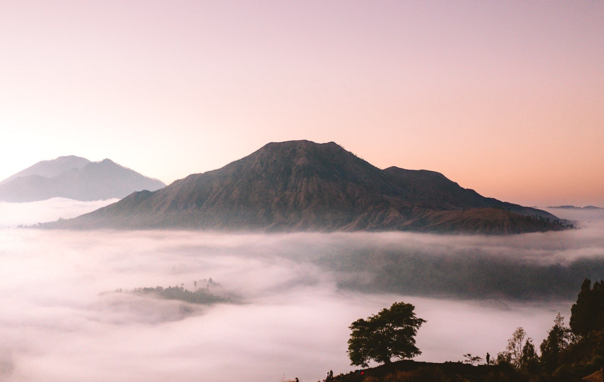 Munduk | LAT.40