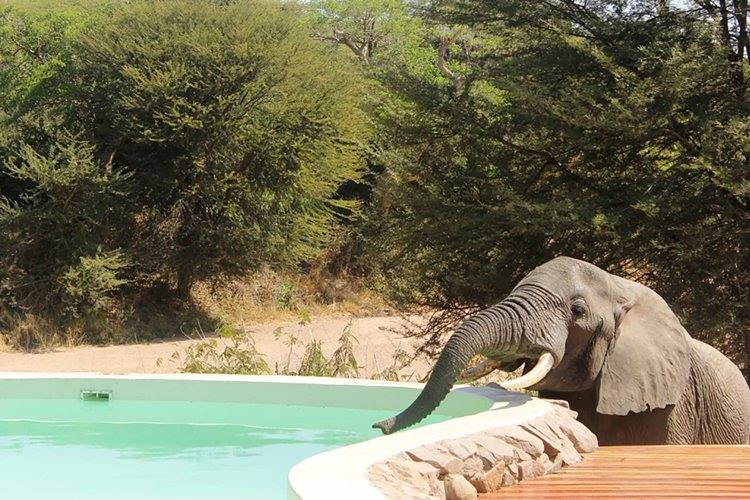 Ruaha