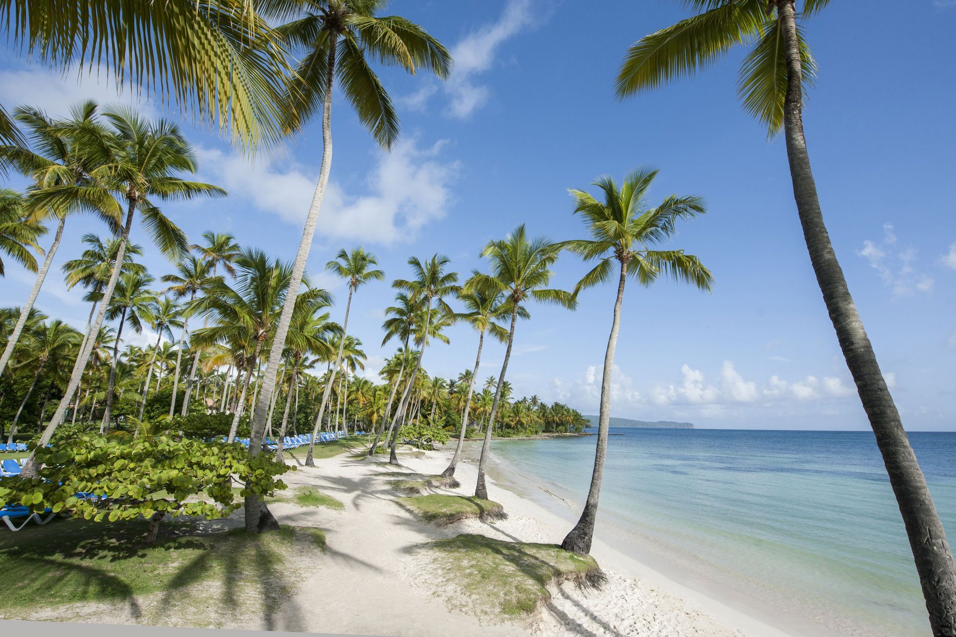 Select at Grand Paradise Samana - All Inclusive en Las Galeras