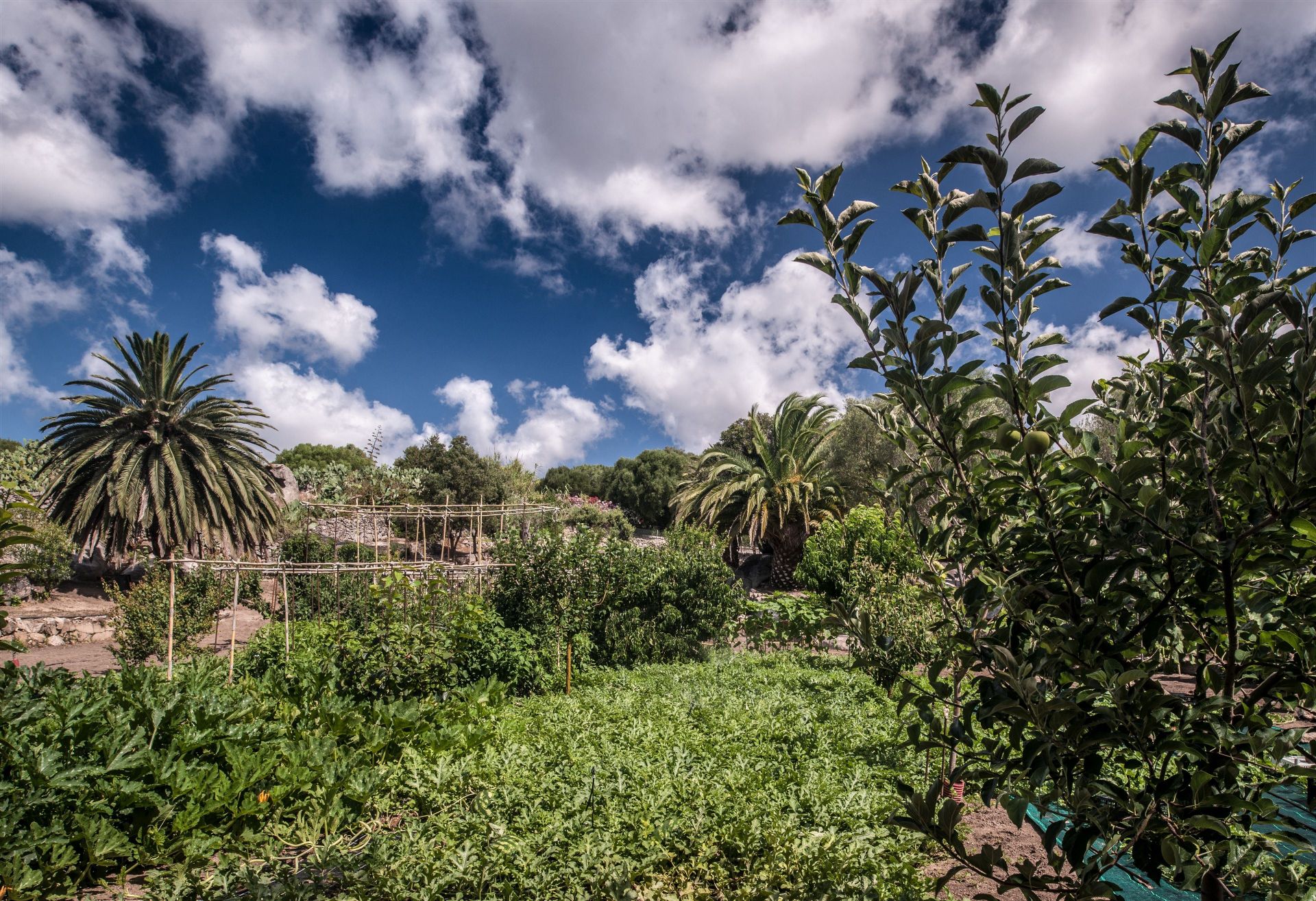 Villa del Golfo Lifestyle Resort en Cerdeña