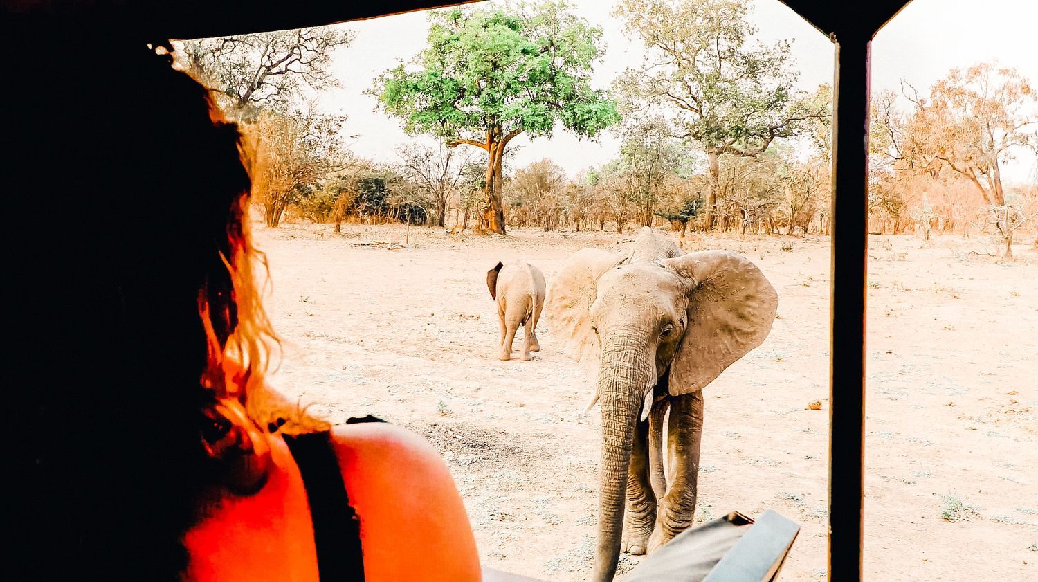 Shawa Luangwa Camp en Luangwa Valley