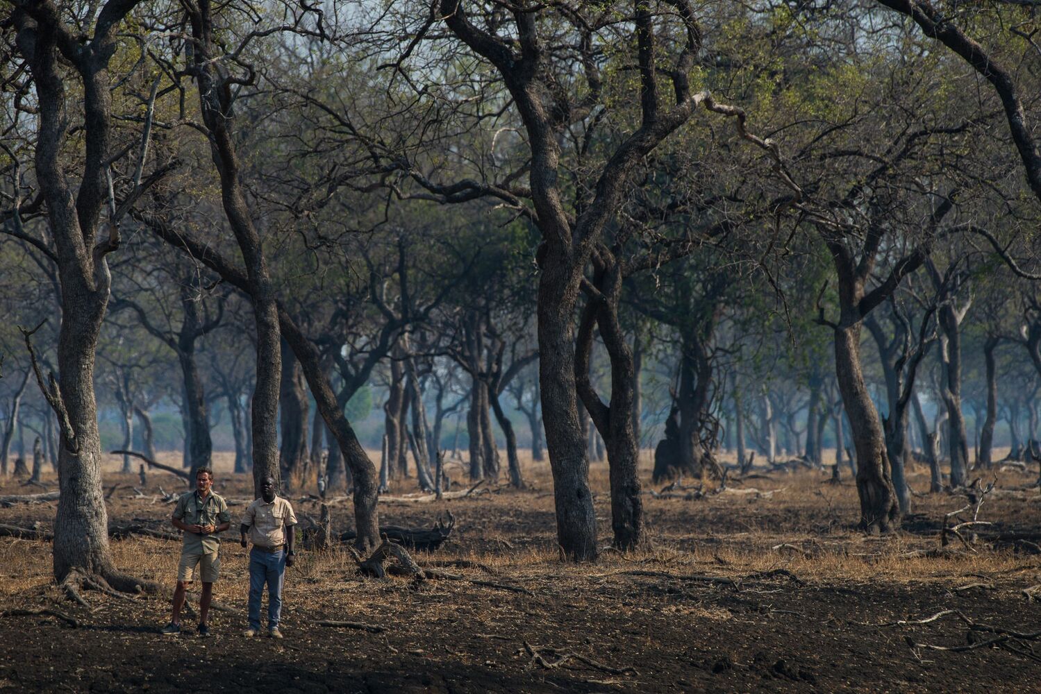 Shawa Luangwa Camp en Luangwa Valley