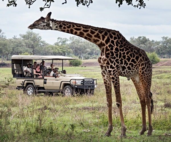 Shawa Luangwa Camp en Luangwa Valley