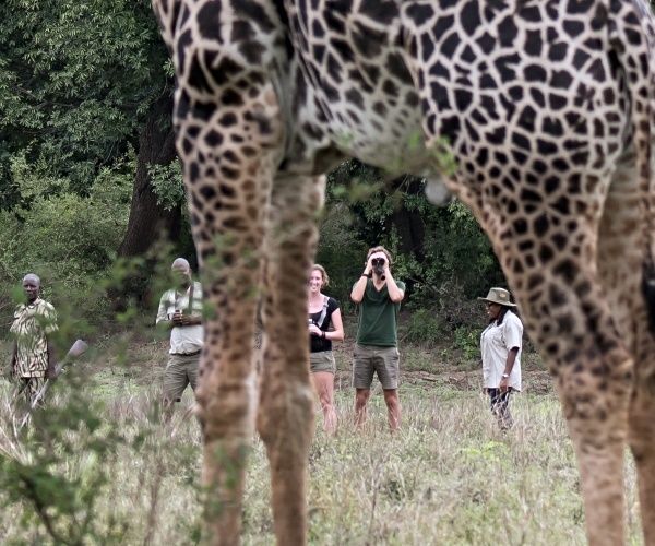 Shawa Luangwa Camp en Luangwa Valley