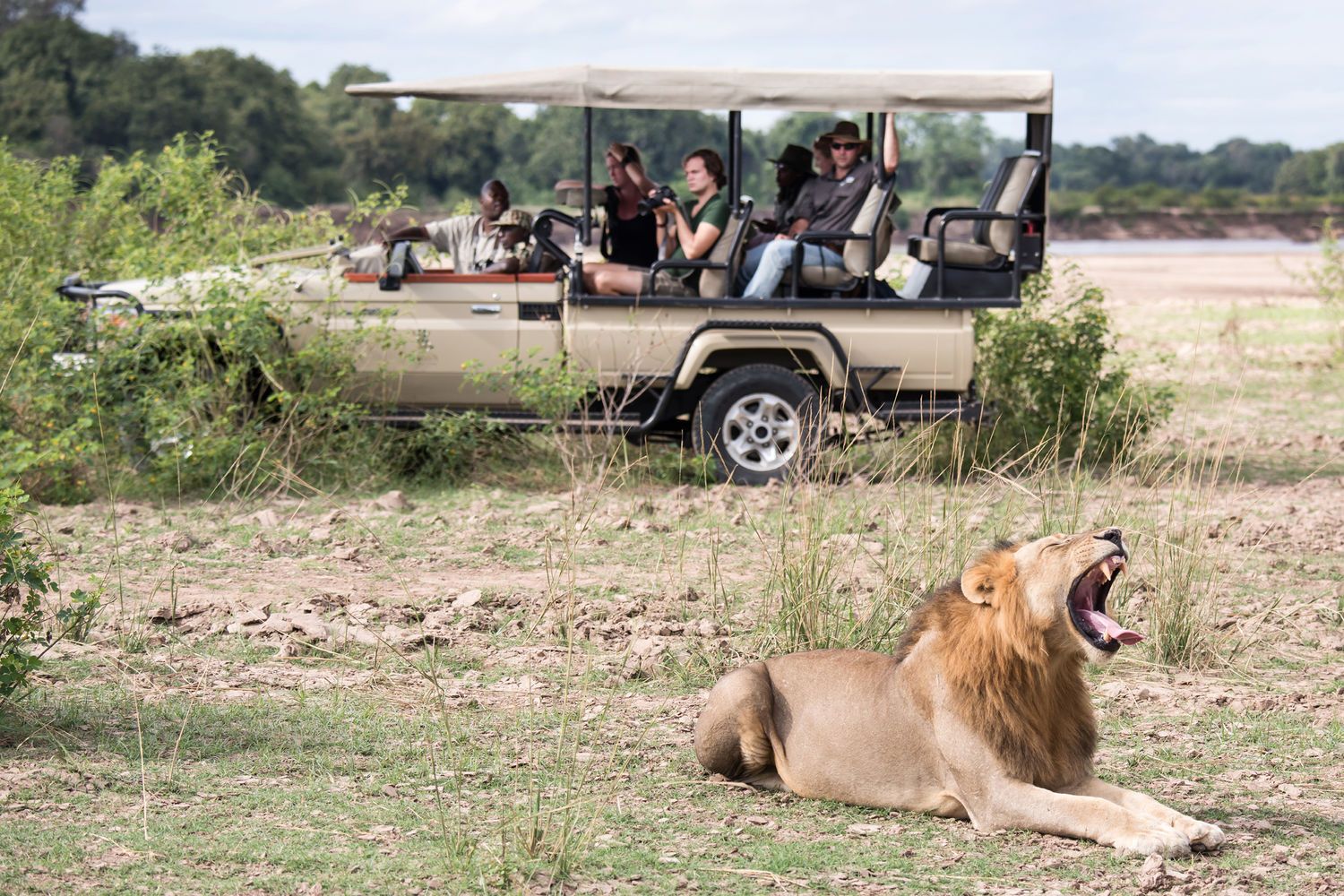 Shawa Luangwa Camp en Luangwa Valley