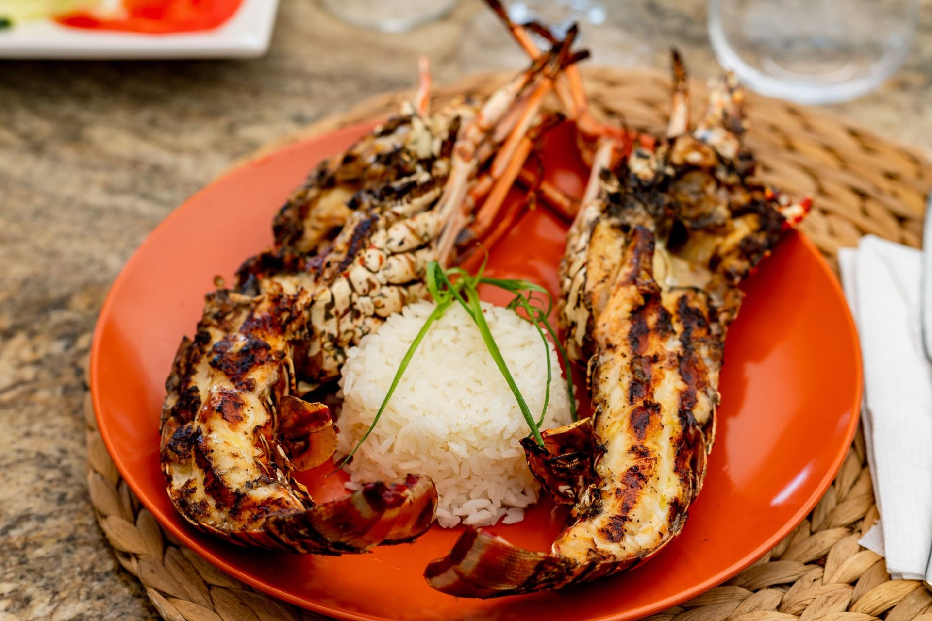 Ático Playa Ballenas en Las Terrenas