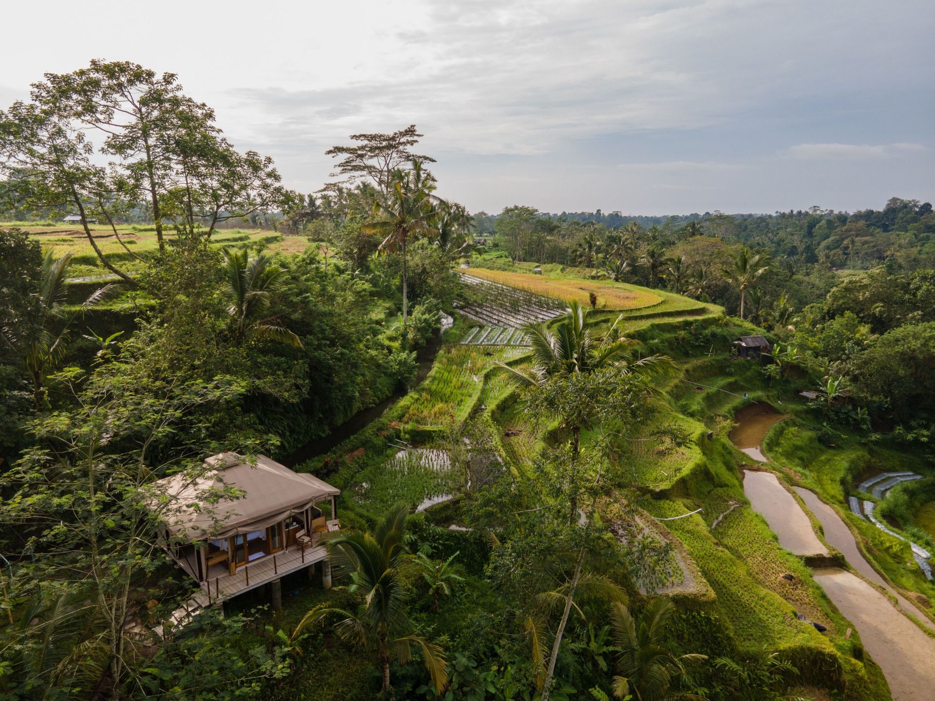 Nadi Nature Resort en su destino