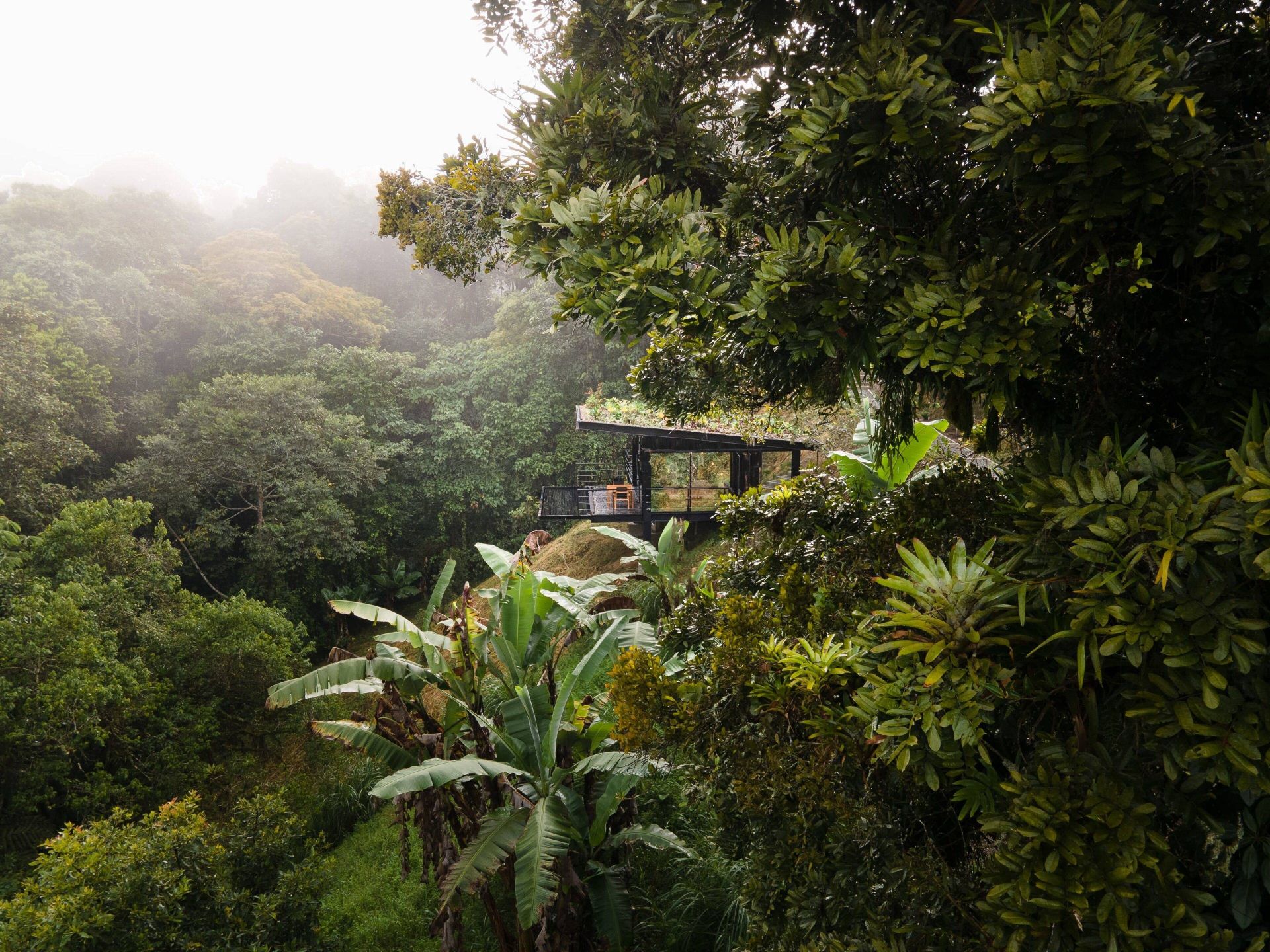 Bio Habitat Hotel en Valle de Cocora
