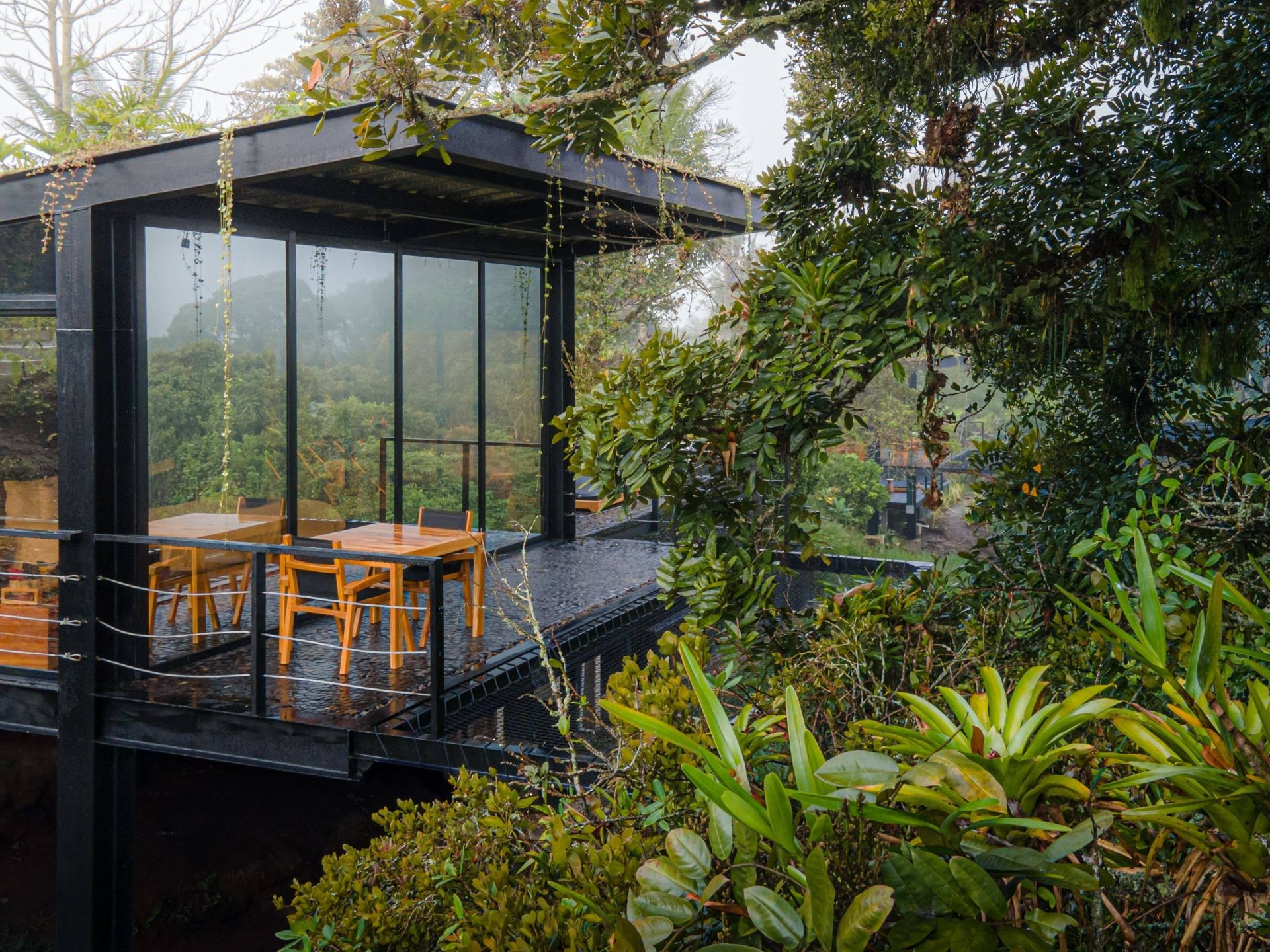 Bio Habitat Hotel en Valle de Cocora
