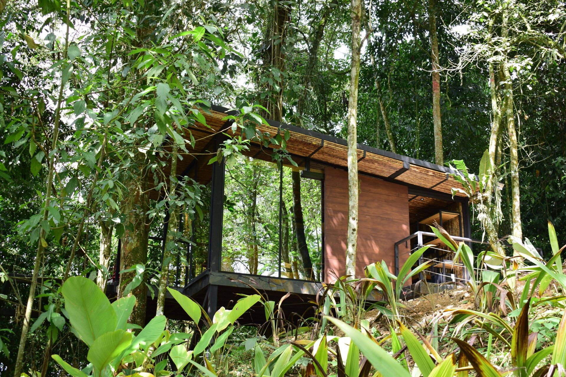 Bio Habitat Hotel en Valle de Cocora