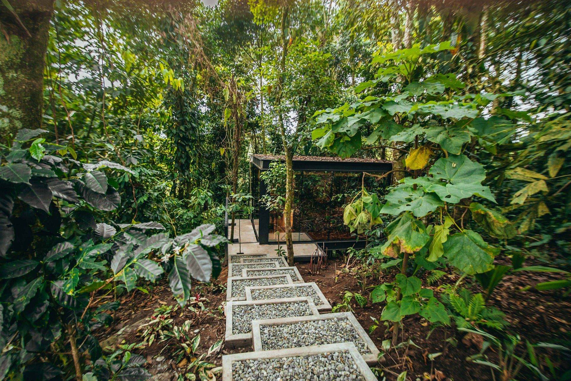 Bio Habitat Hotel en Valle de Cocora