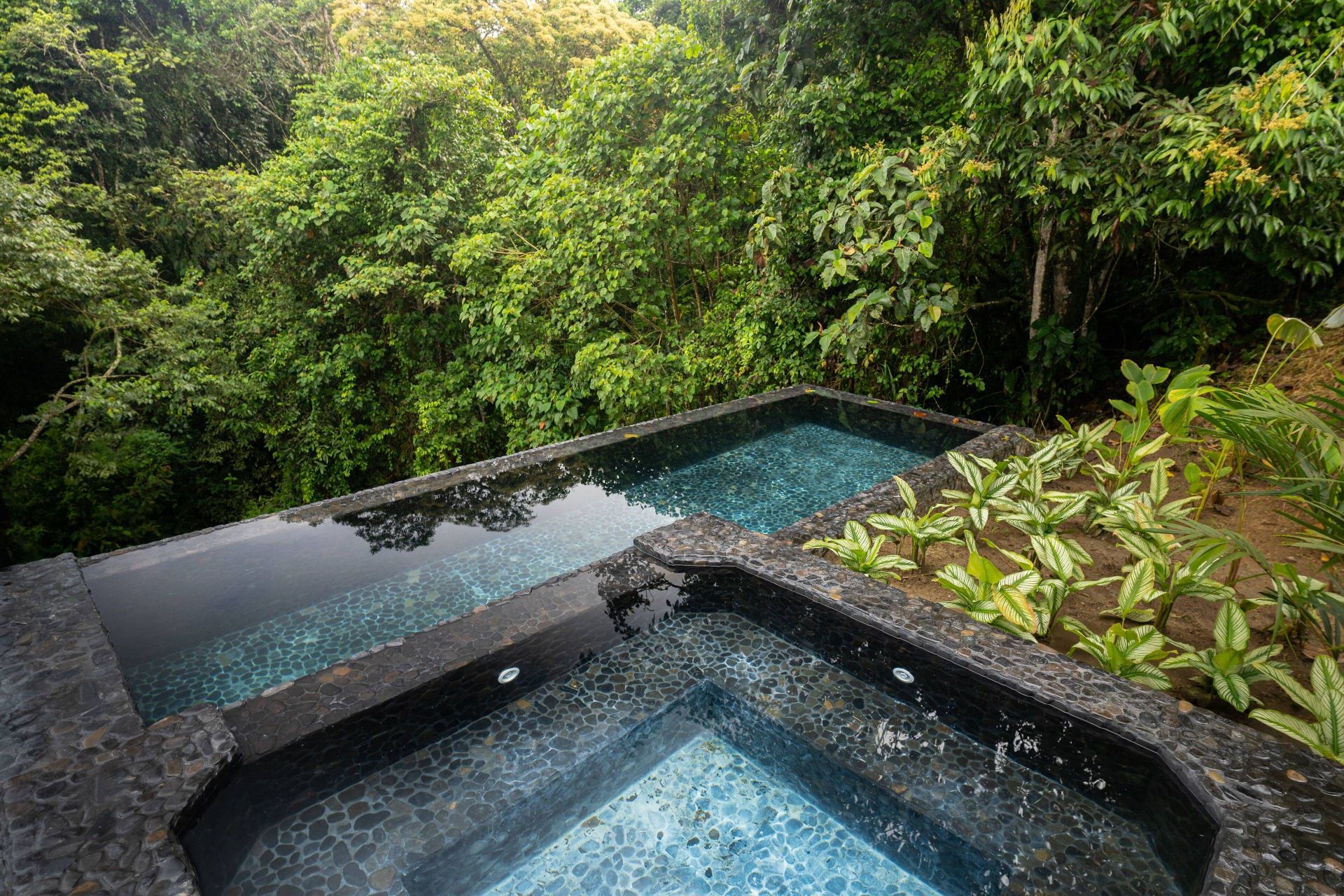 Bio Habitat Hotel en Valle de Cocora