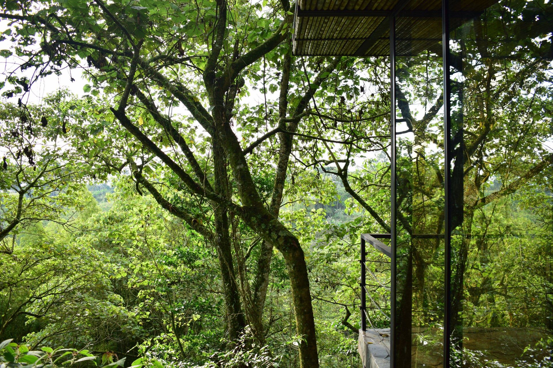 Bio Habitat Hotel en Valle de Cocora