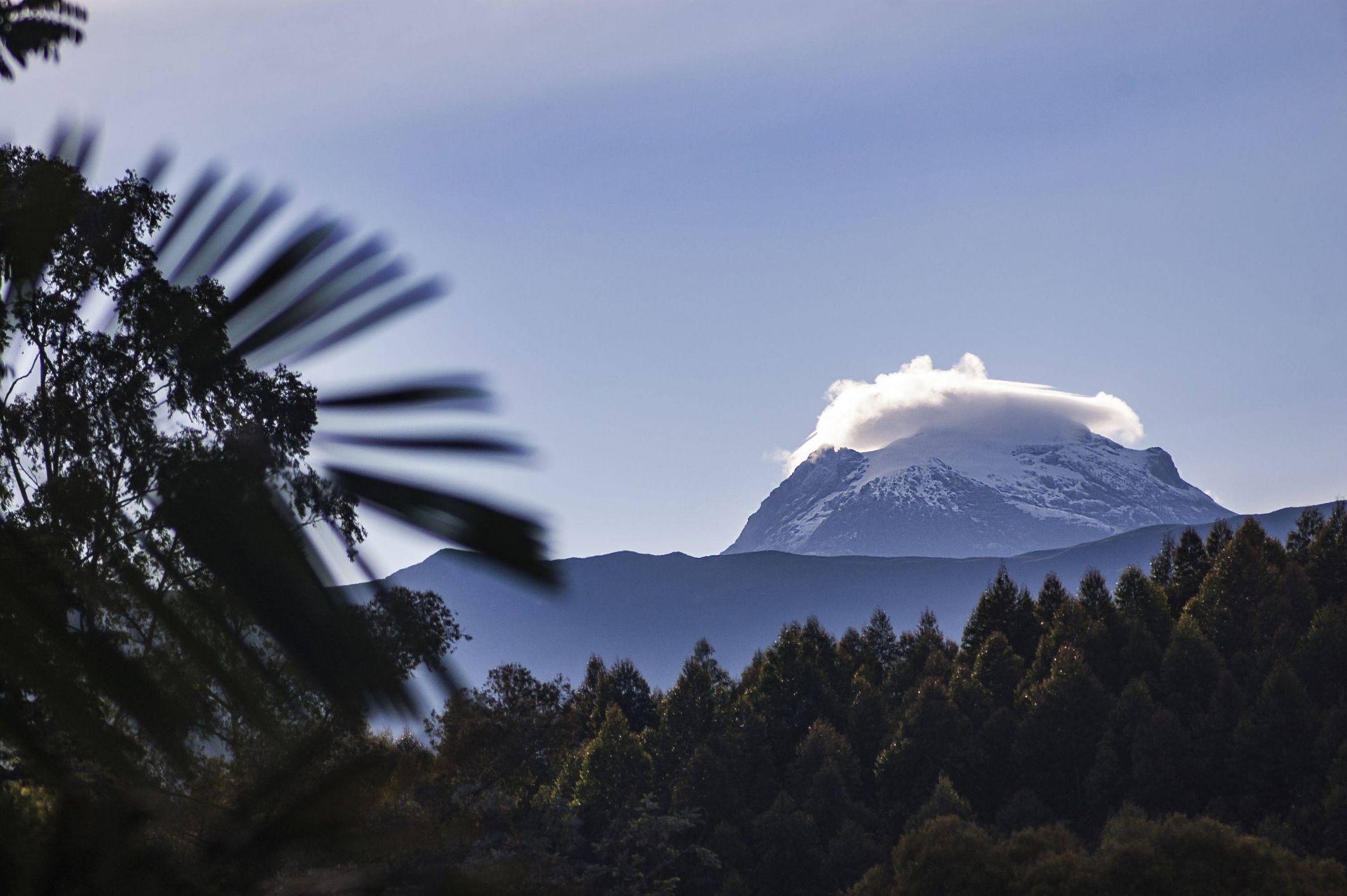 Bio Habitat Hotel en Valle de Cocora