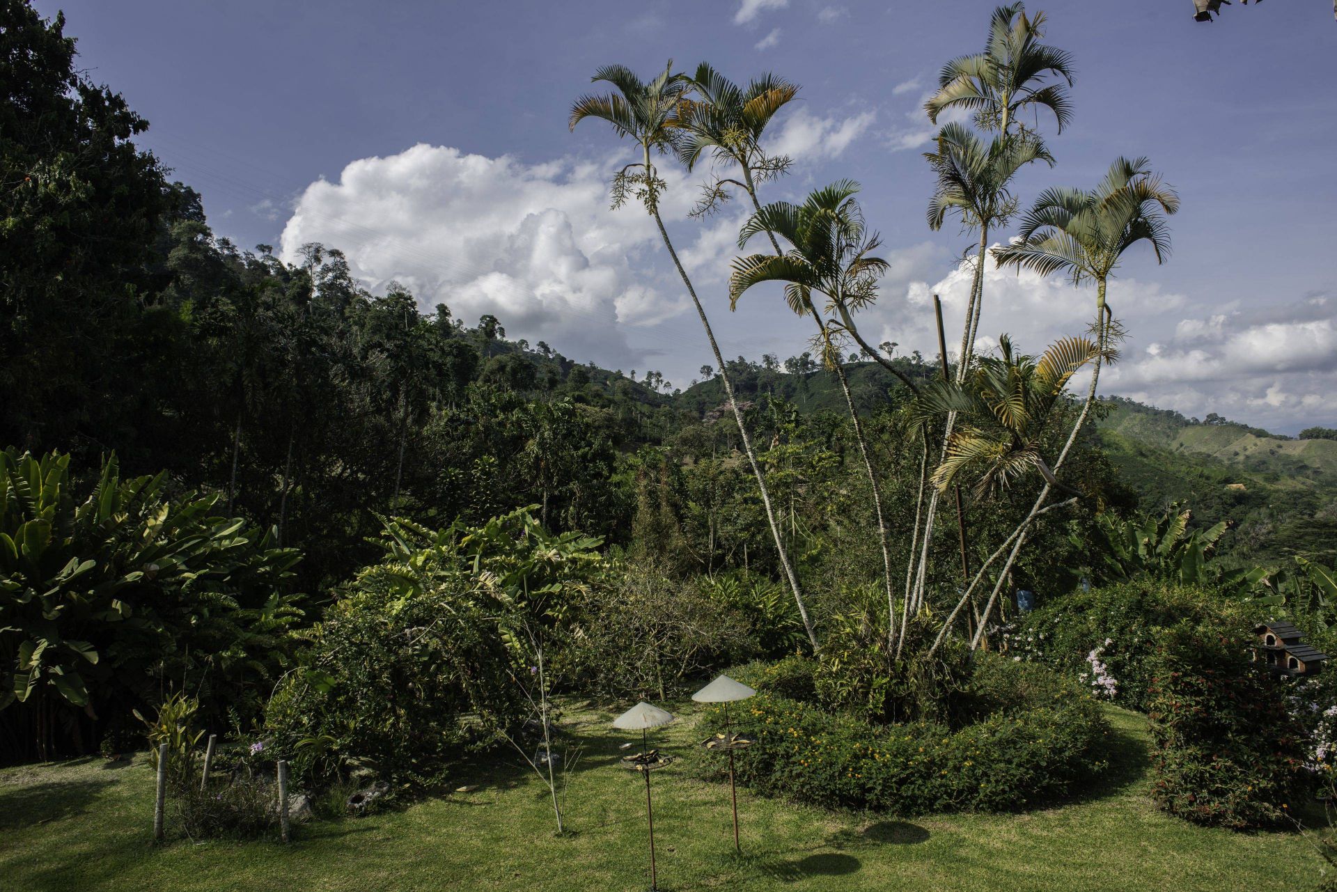 Hacienda Venecia en Valle de Cocora
