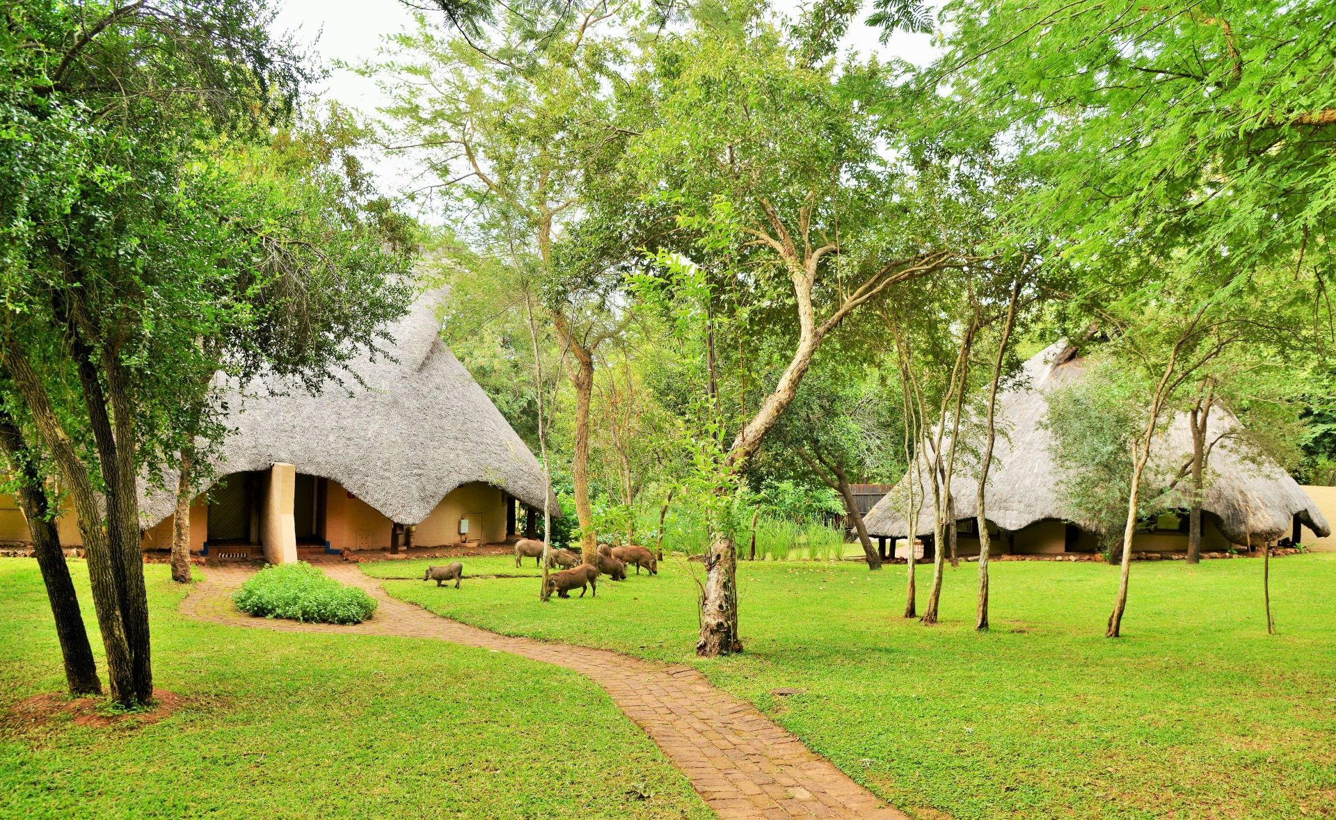 Lokuthula Lodges en Victoria Falls