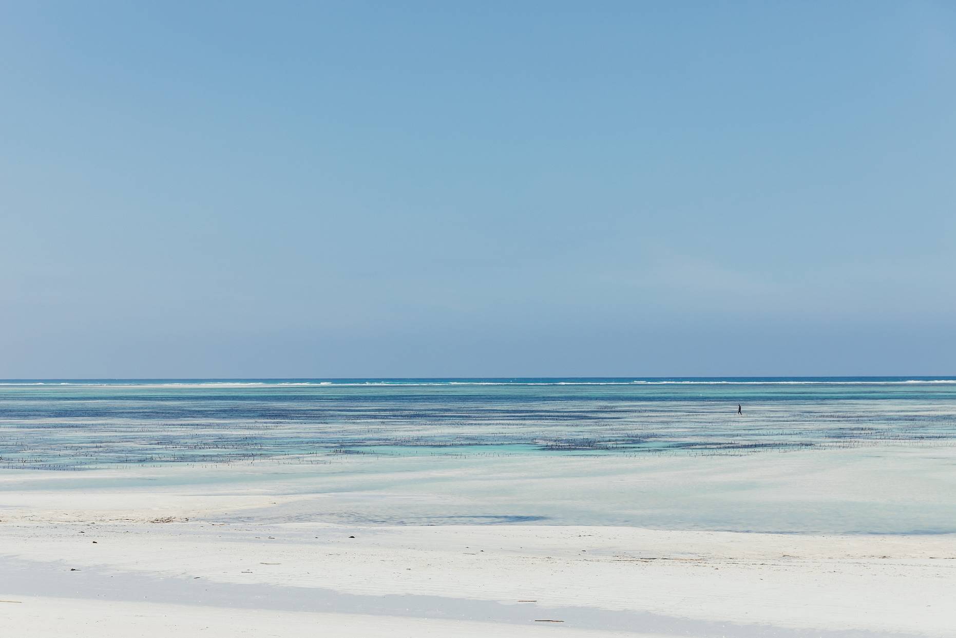 LUX Marijani en Zanzibar