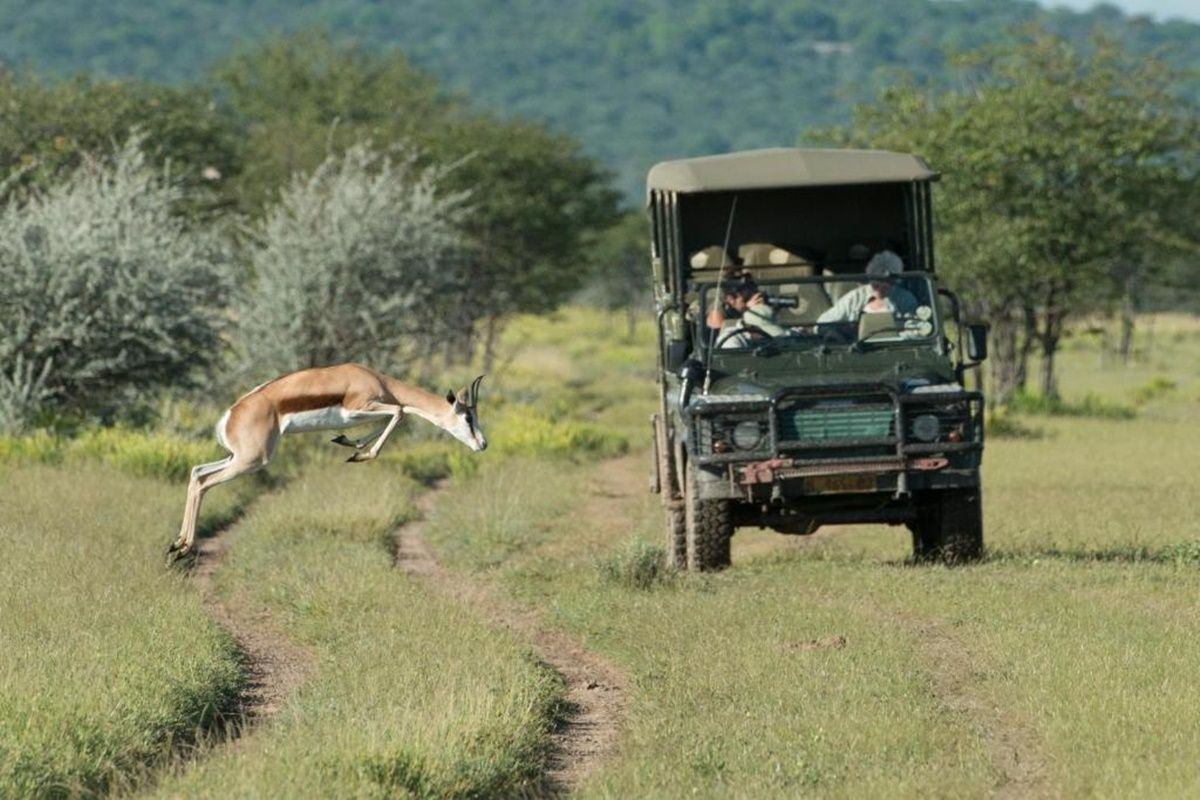Little Ongava  en Etosha Parque Nacional 