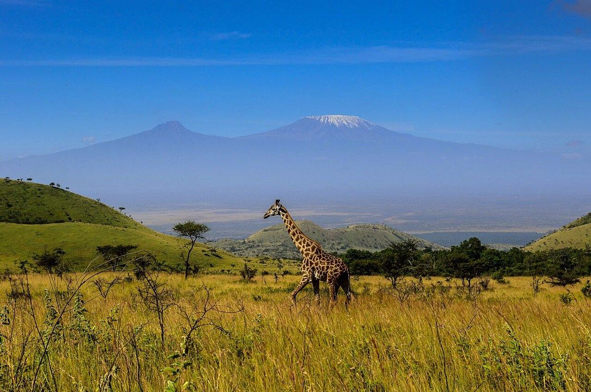 Campi Ya Kanzi en Amboseli