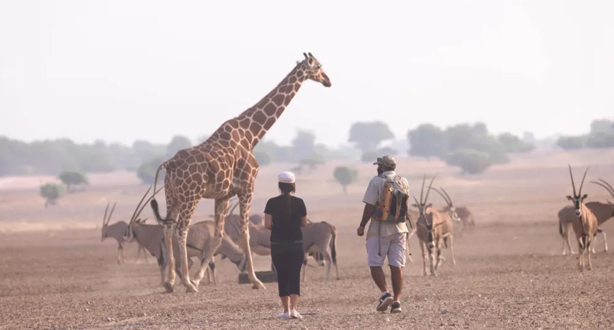 Anantara Sir Bani Yas Island Al Sahel Villa Resort en Abu Dhabi