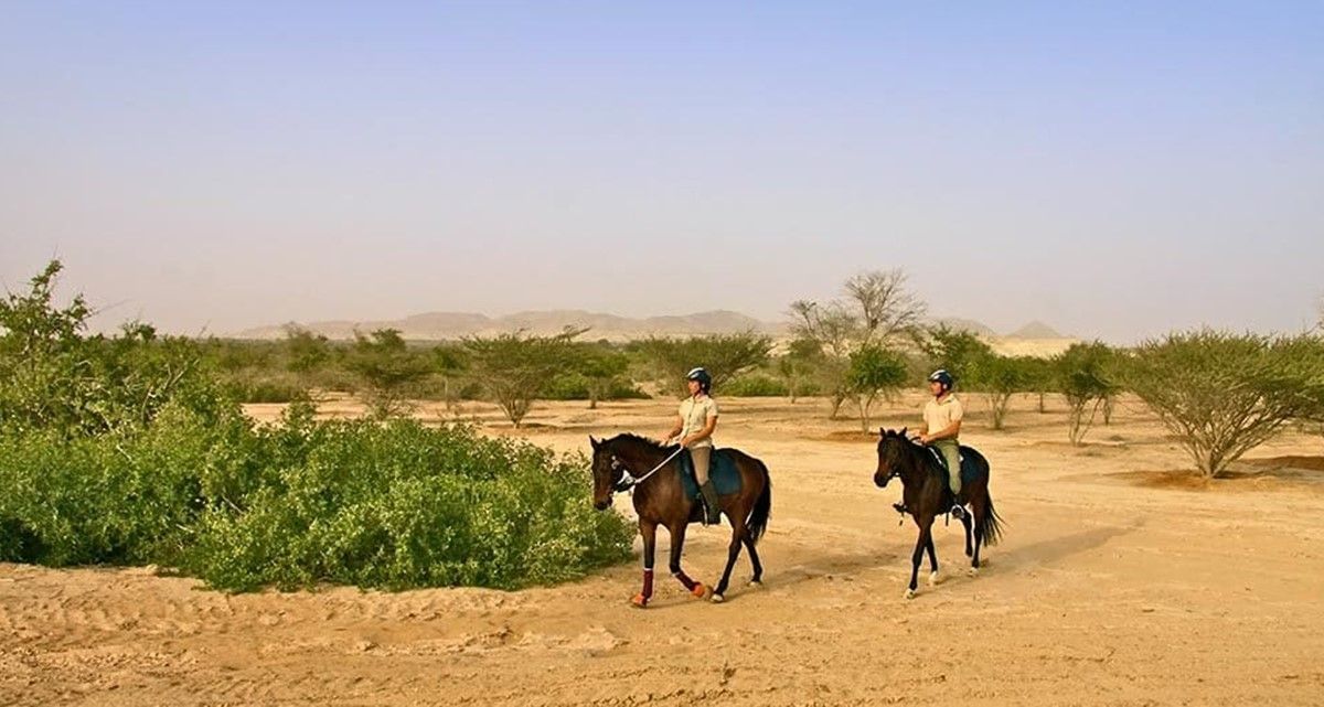Anantara Sir Bani Yas Island Al Sahel Villa Resort en Abu Dhabi