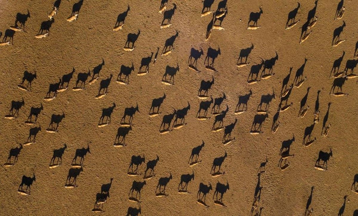 Anantara Sir Bani Yas Island Al Sahel Villa Resort en Abu Dhabi
