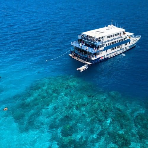 Live Aboard 2 noches en Gran Barrera de Coral