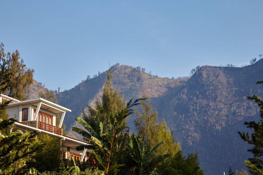 Jiwa Jawa Resort Bromo en Java Oriental - Bromo