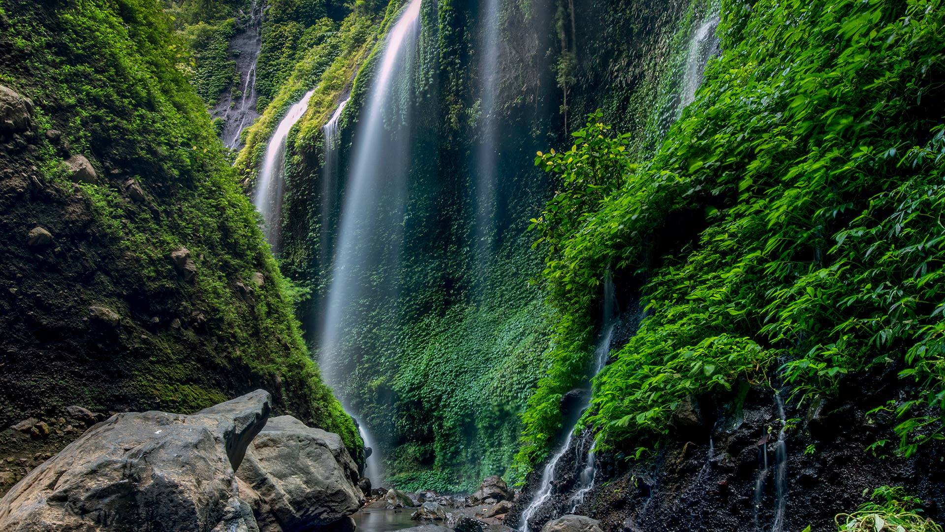 Jiwa Jawa Resort Bromo en Java Oriental - Bromo