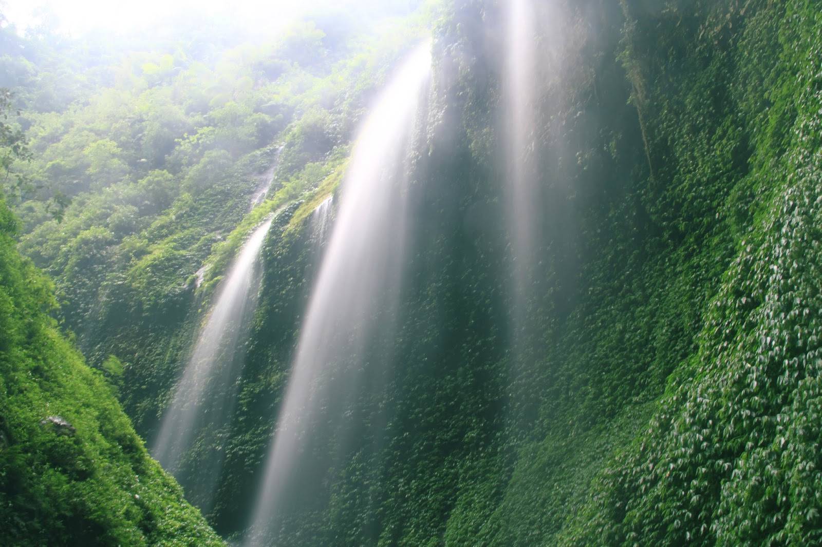 Jiwa Jawa Resort Bromo en Java Oriental - Bromo