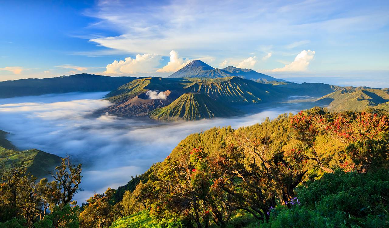 Jiwa Jawa Resort Bromo en Java Oriental - Bromo