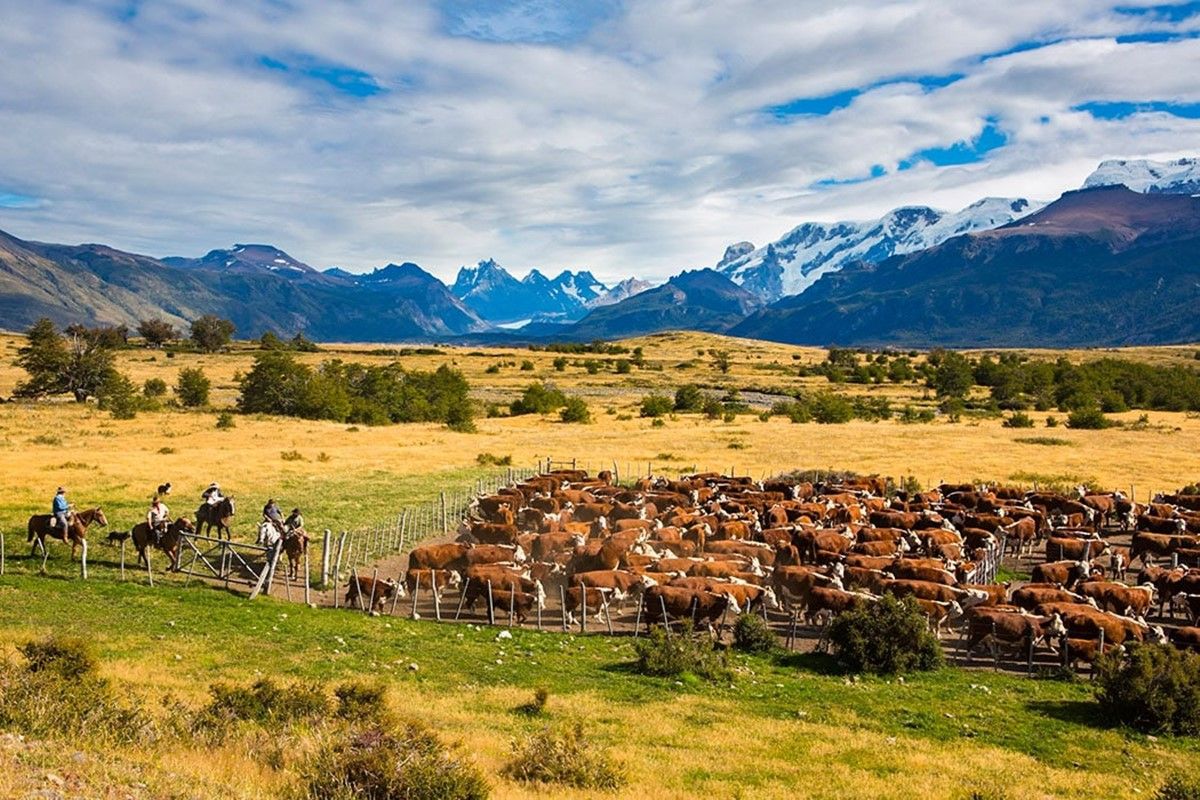 Estancia Nibepo Aike en Calafate