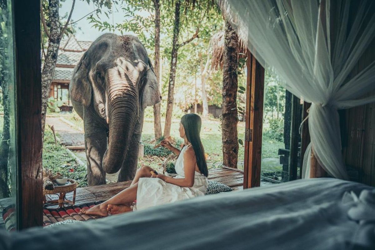 The Chai Lai Orchid  en Chiang Mai