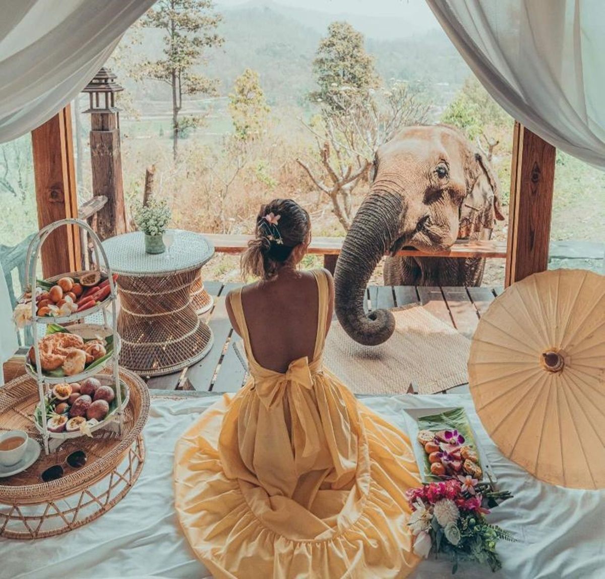 The Chai Lai Orchid  en Chiang Mai