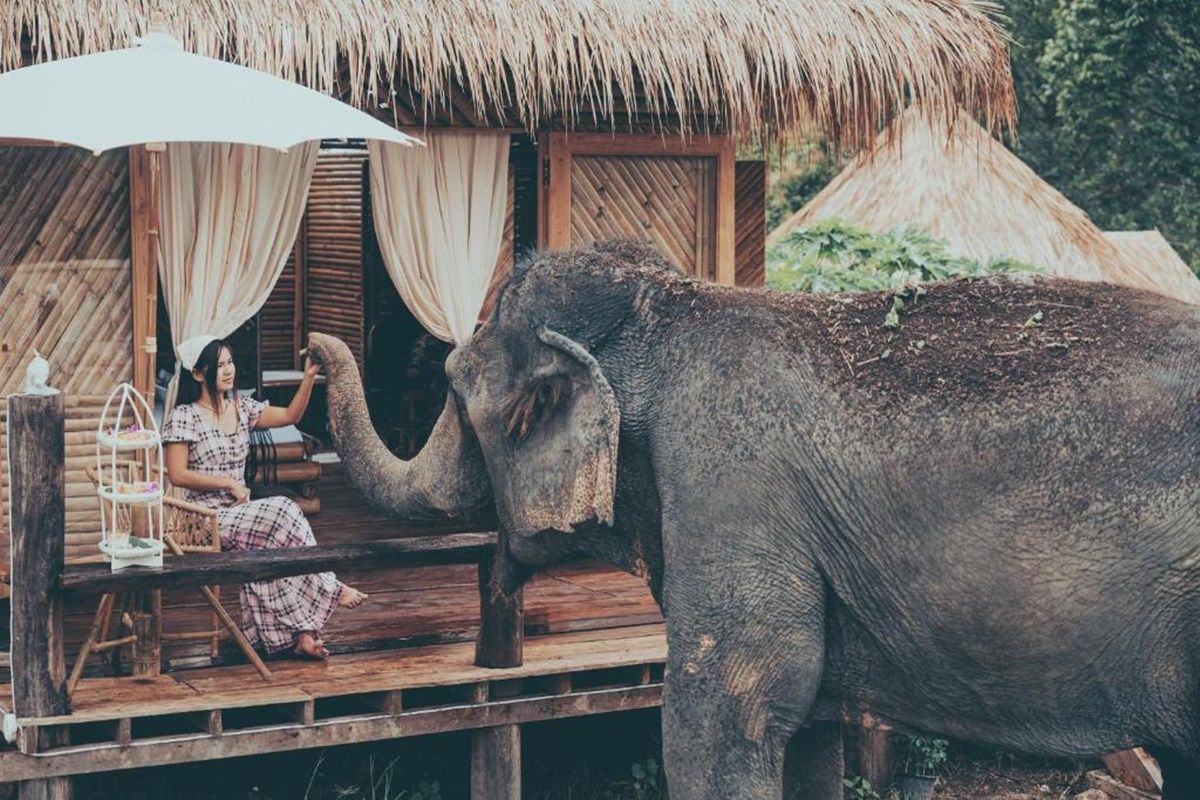 The Chai Lai Orchid  en Chiang Mai