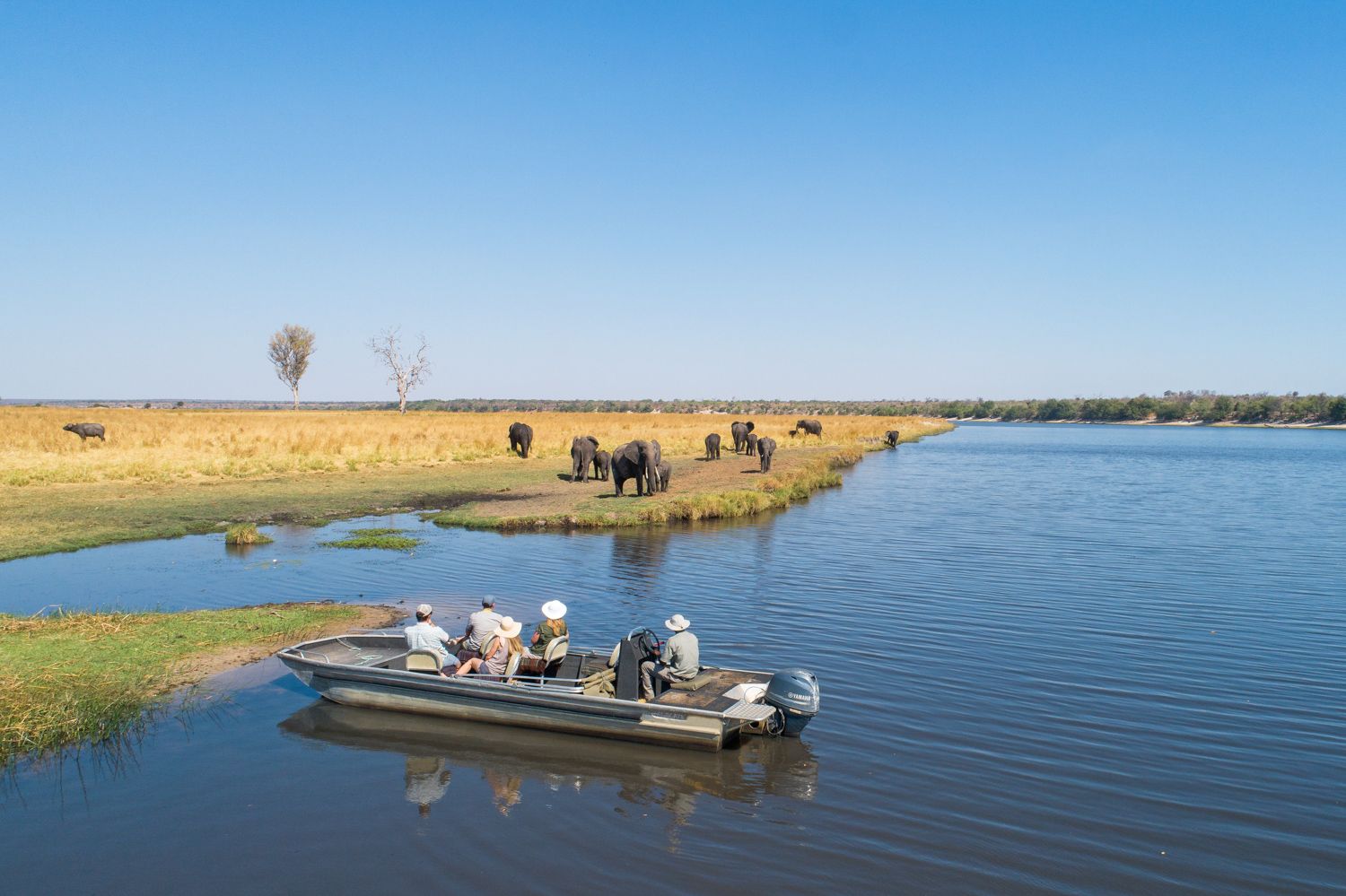 Chobe Savanna Lodge en Chobe