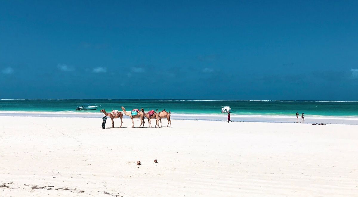 Alfajiri Villas en Diani Beach