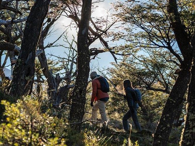 Explora El Chaltén en El Chalten