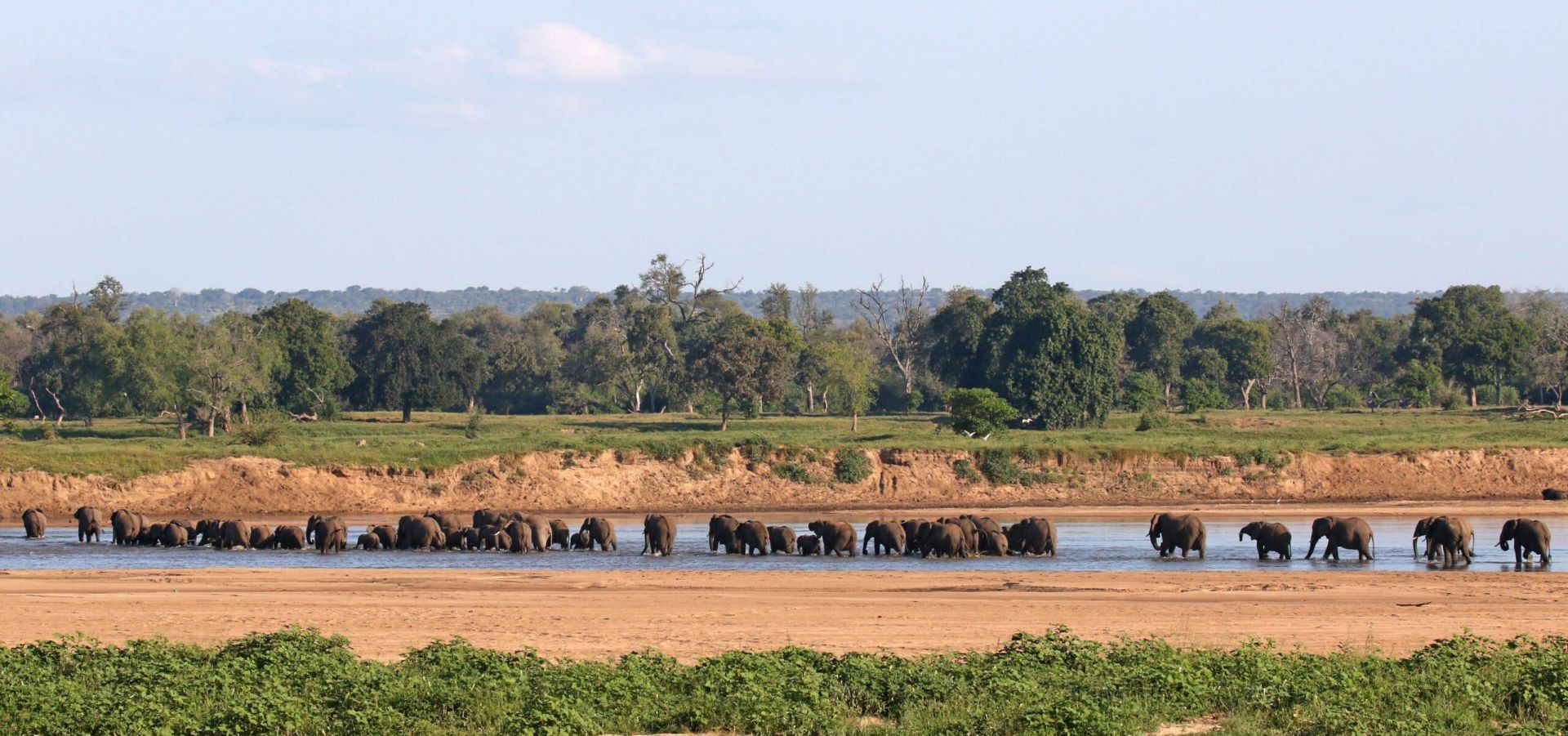 Chilo Tented Camp en Mahove en Gonarezhou National Park