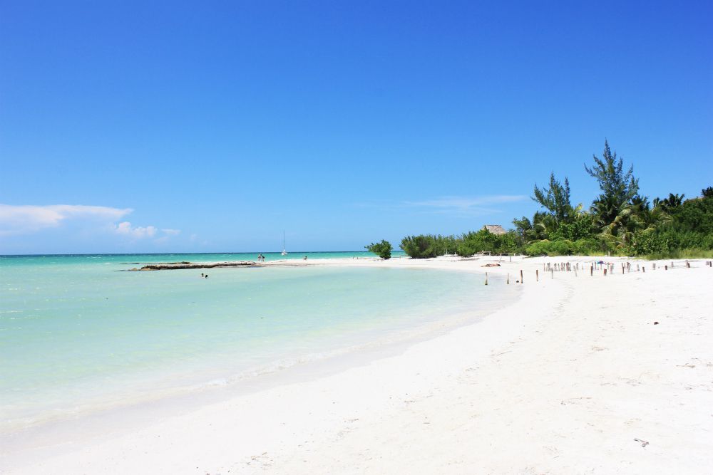 Holbox | LAT.40