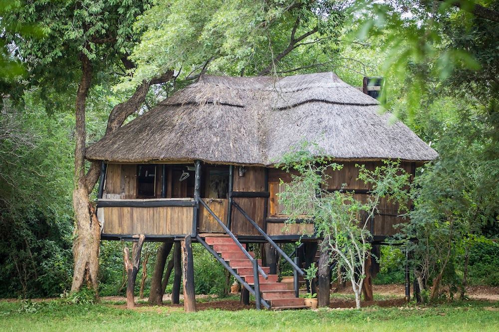 Ivory Safari Lodge en Hwange