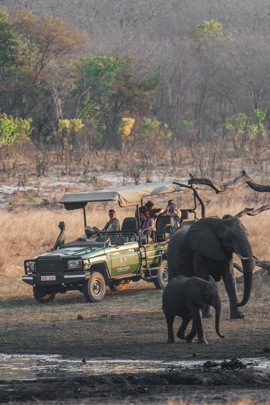 Ivory Safari Lodge en Hwange