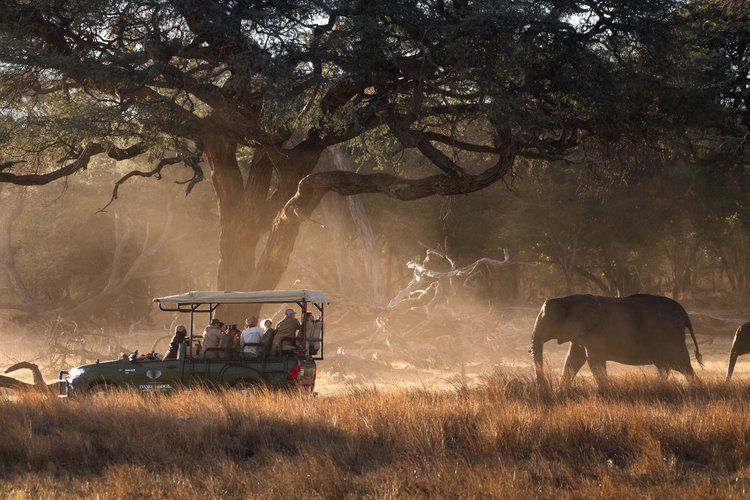 Ivory Safari Lodge en Hwange