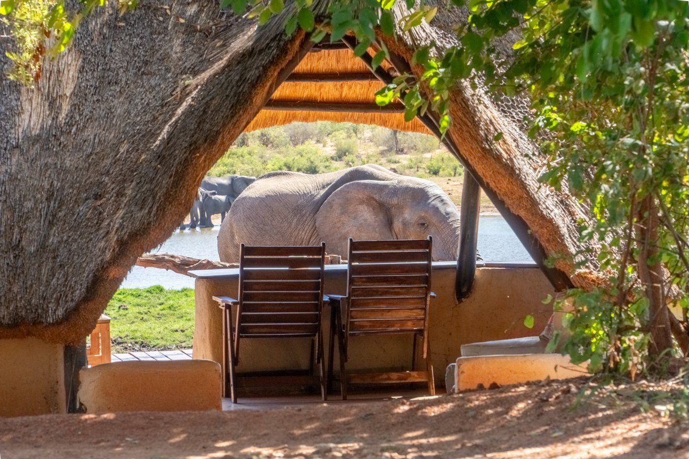 Ivory Safari Lodge en Hwange