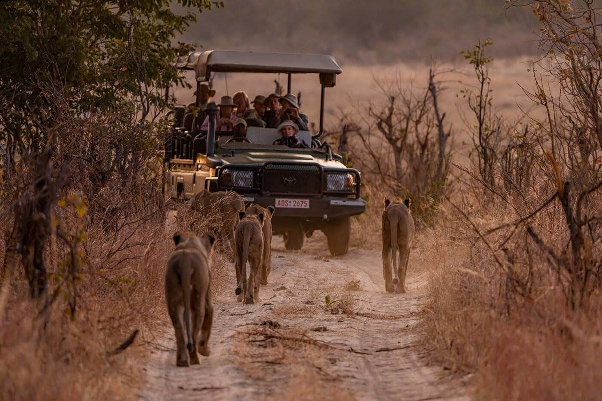 Khulu Bush Camp en Hwange
