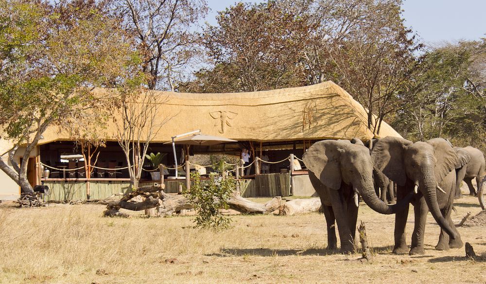 Khulu Bush Camp en Hwange