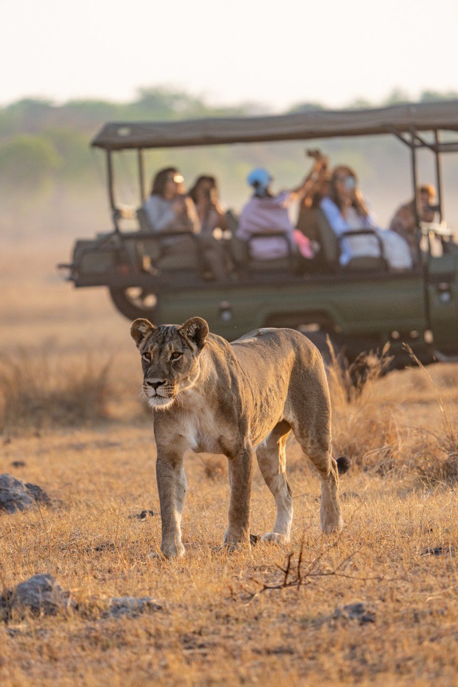 Khulu Bush Camp en Hwange