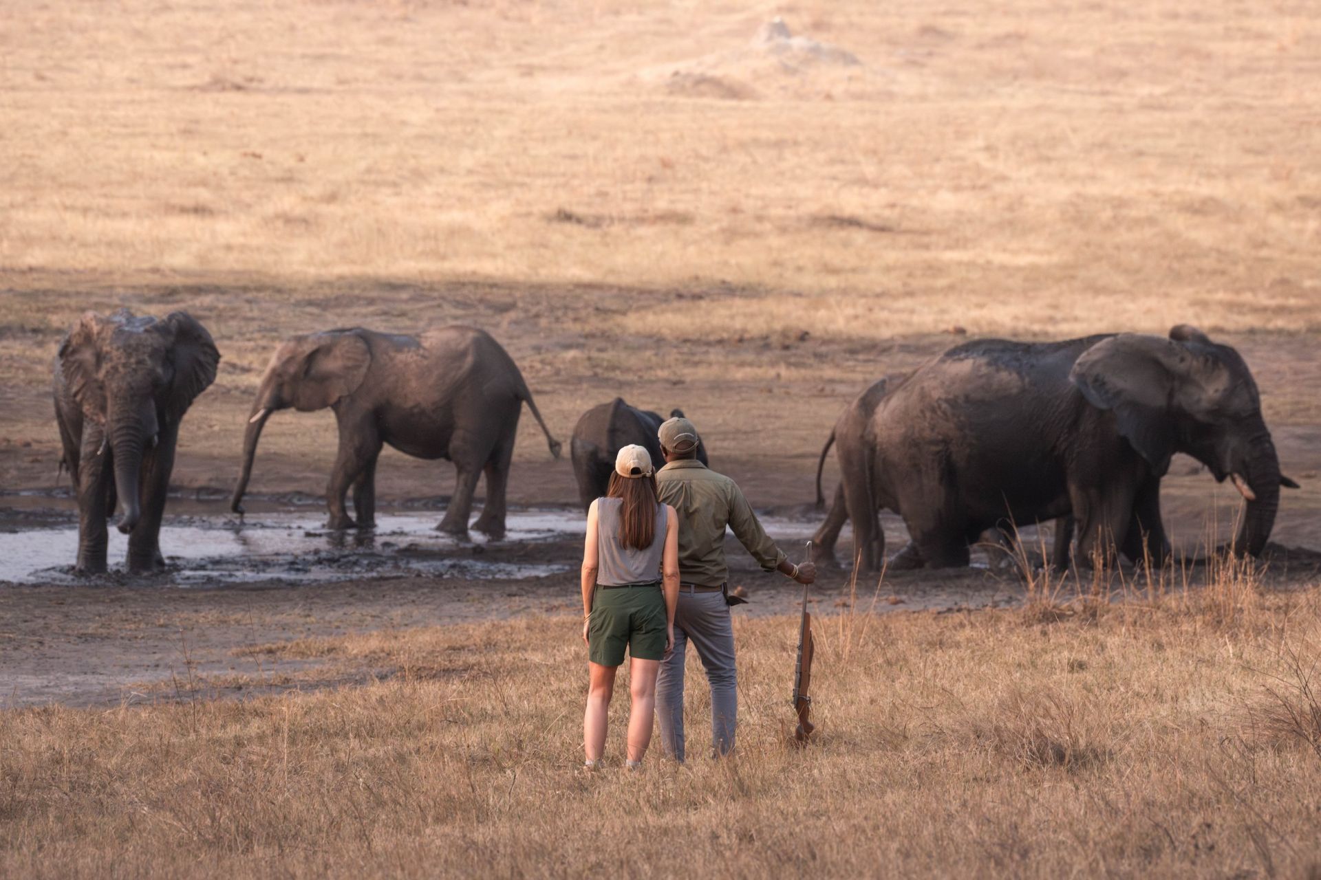 Khulu Bush Camp en Hwange