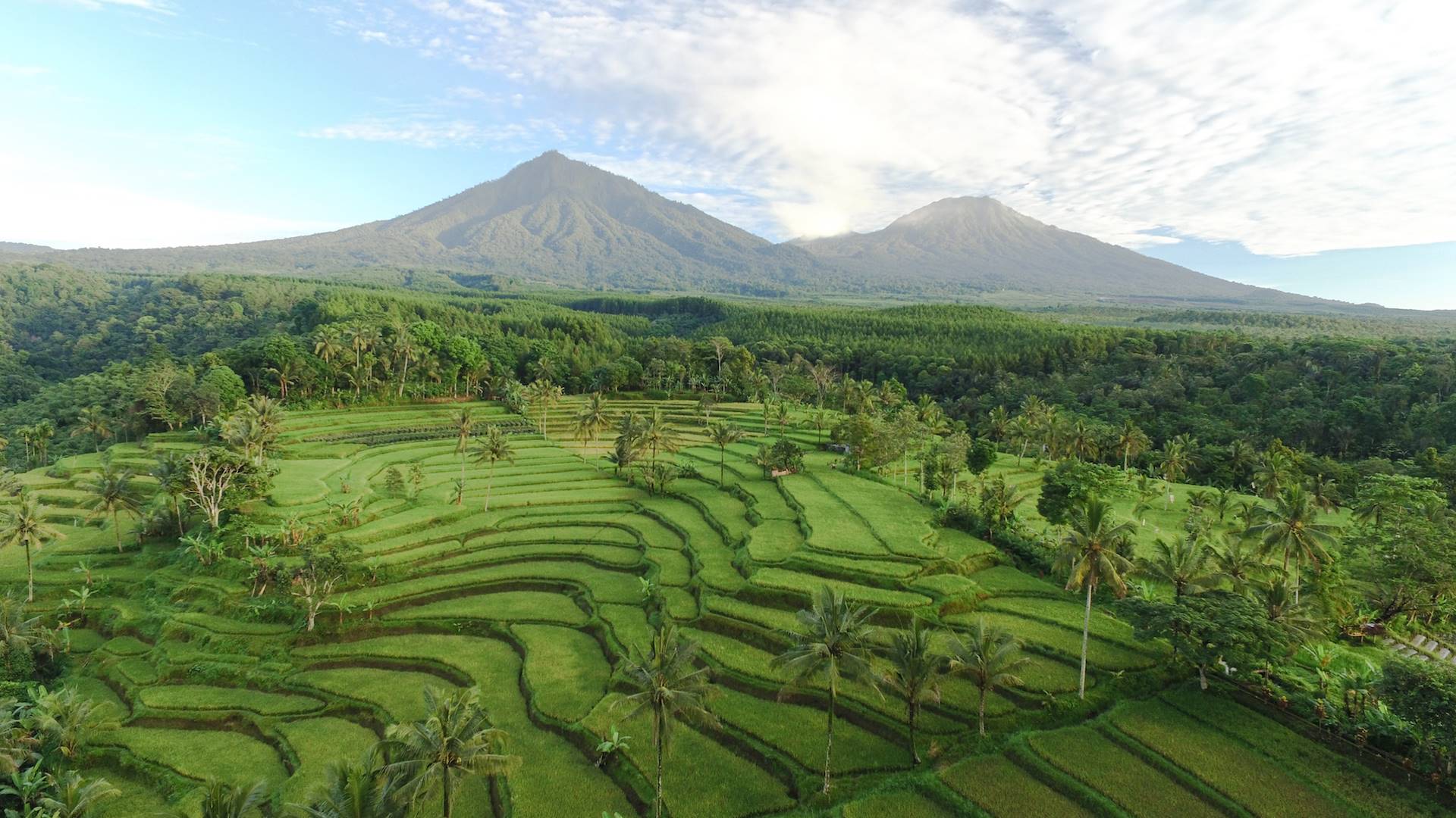 Ijen Resort and Villas en Java Oriental - Ijen