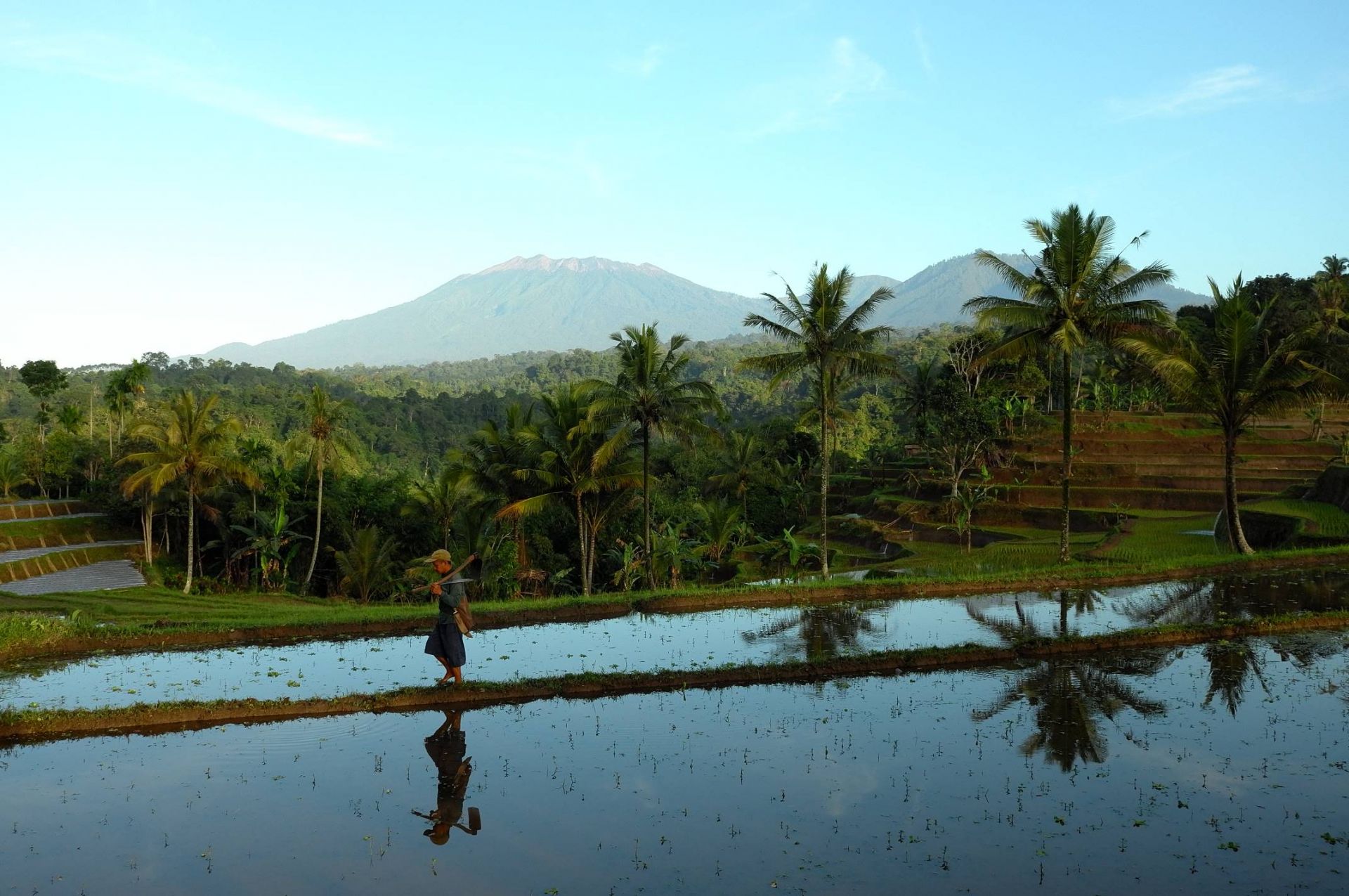 Ijen Resort and Villas en Java Oriental - Ijen